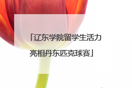 辽东学院留学生活力亮相丹东匹克球赛