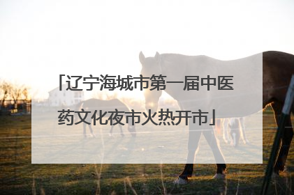 辽宁海城市第一届中医药文化夜市火热开市