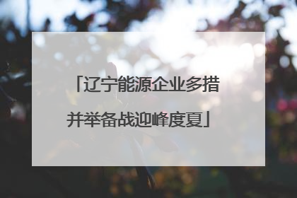 辽宁能源企业多措并举备战迎峰度夏