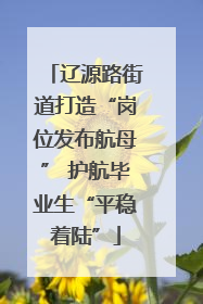 辽源路街道打造“岗位发布航母” 护航毕业生“平稳着陆”