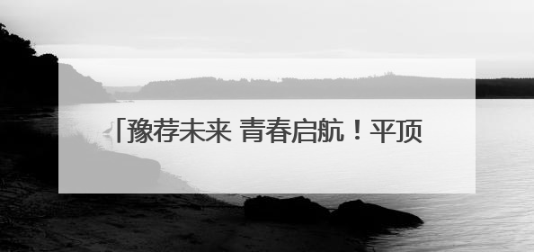 豫荐未来 青春启航！平顶山工业职业技术学院举办2025届毕业生夏季招聘会