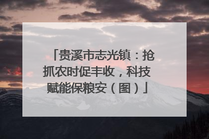 贵溪市志光镇：抢抓农时促丰收，科技赋能保粮安（图）