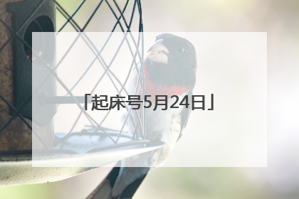 起床号5月24日