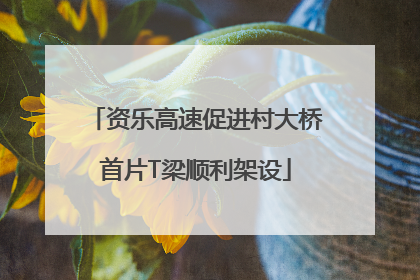 资乐高速促进村大桥首片T梁顺利架设