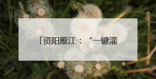 资阳雁江：“一键灌溉”万亩良田 全域灌溉项目7月投用