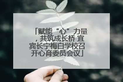 赋能“心”力量，共筑成长桥 宜宾长宁梅白学校召开心育委员会议
