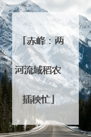 赤峰：两河流域稻农插秧忙
