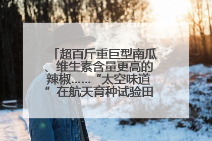 超百斤重巨型南瓜、维生素含量更高的辣椒……“太空味道”在航天育种试验田里拔节生长