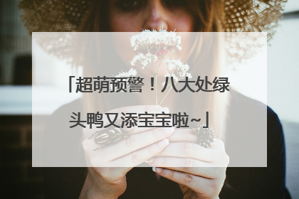 超萌预警！八大处绿头鸭又添宝宝啦~