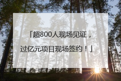 超800人现场见证，过亿元项目现场签约！