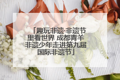 趣玩非遗·非遗节里看世界 成都青羊非遗少年走进第九届国际非遗节