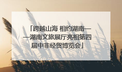 跨越山海 相约湖南——湖南文旅展厅亮相第四届中非经贸博览会