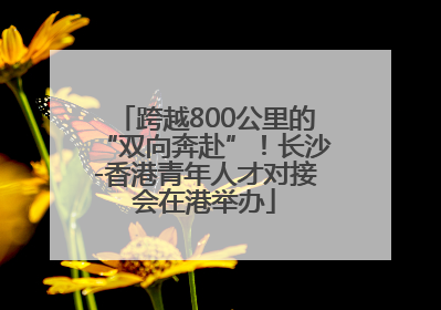 跨越800公里的“双向奔赴”！长沙-香港青年人才对接会在港举办