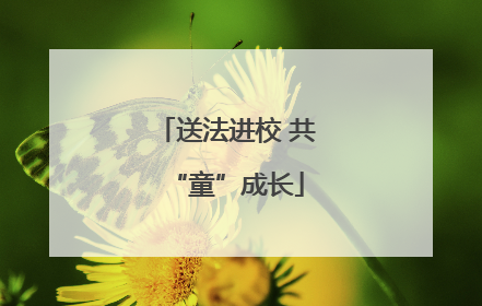 送法进校 共“童”成长