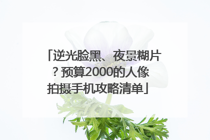 逆光脸黑、夜景糊片？预算2000的人像拍摄手机攻略清单