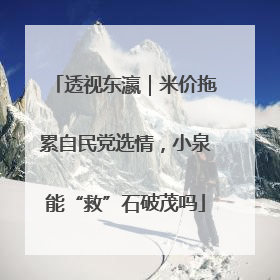 透视东瀛｜米价拖累自民党选情，小泉能“救”石破茂吗