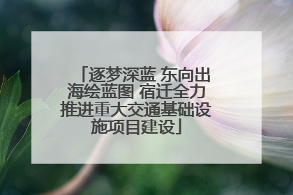逐梦深蓝 东向出海绘蓝图 宿迁全力推进重大交通基础设施项目建设