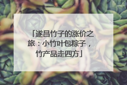 遂昌竹子的涨价之旅：小竹叶包粽子，竹产品走四方
