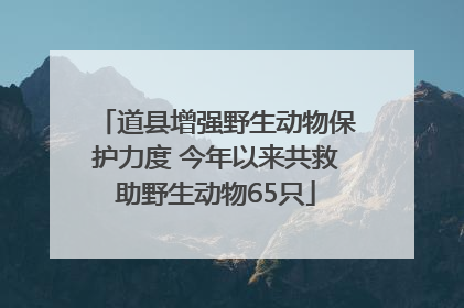 道县增强野生动物保护力度 今年以来共救助野生动物65只