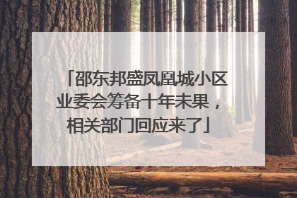 邵东邦盛凤凰城小区业委会筹备十年未果，相关部门回应来了