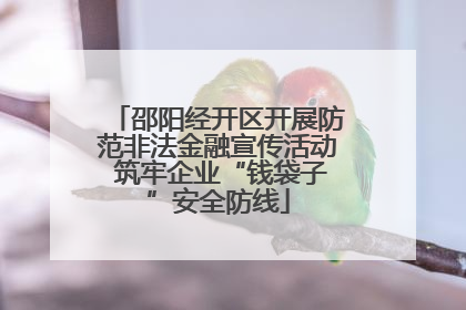 邵阳经开区开展防范非法金融宣传活动 筑牢企业“钱袋子”安全防线