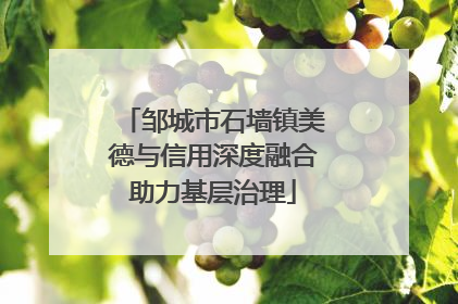 邹城市石墙镇美德与信用深度融合助力基层治理