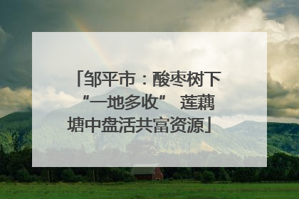 邹平市：酸枣树下“一地多收” 莲藕塘中盘活共富资源