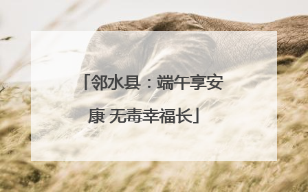 邻水县：端午享安康 无毒幸福长