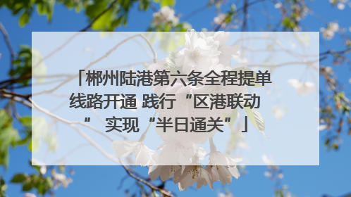 郴州陆港第六条全程提单线路开通 践行“区港联动” 实现“半日通关”