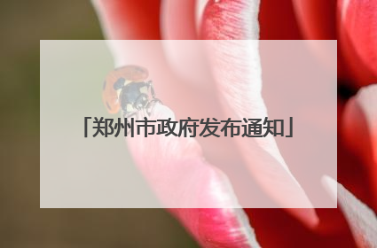 郑州市政府发布通知