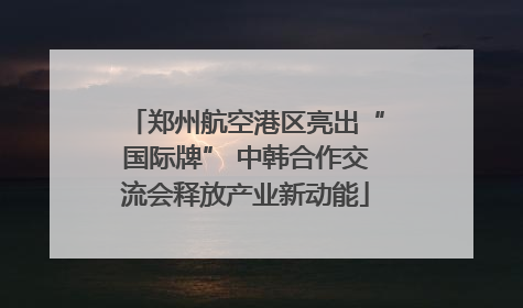 郑州航空港区亮出“国际牌” 中韩合作交流会释放产业新动能