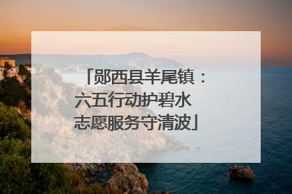 郧西县羊尾镇：六五行动护碧水 志愿服务守清波