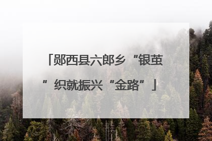 郧西县六郎乡“银茧”织就振兴“金路”