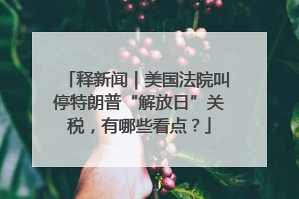 释新闻｜美国法院叫停特朗普“解放日”关税，有哪些看点？