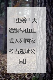 重磅！大冶铜绿山正式入列国家考古遗址公园