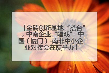 金砖创新基地“搭台”，中南企业“唱戏” 中国（厦门）-南非中小企业对接会在厦举办