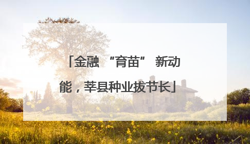 金融 “育苗” 新动能，莘县种业拔节长