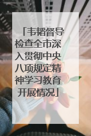 韦韬督导检查全市深入贯彻中央八项规定精神学习教育开展情况
