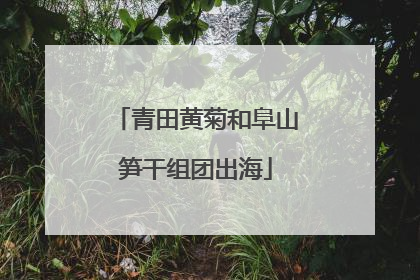 青田黄菊和阜山笋干组团出海
