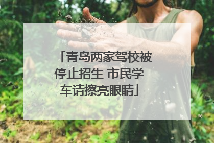 青岛两家驾校被停止招生 市民学车请擦亮眼睛
