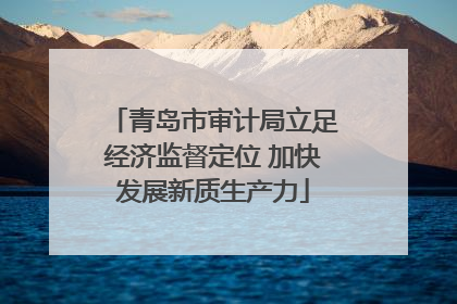 青岛市审计局立足经济监督定位 加快发展新质生产力