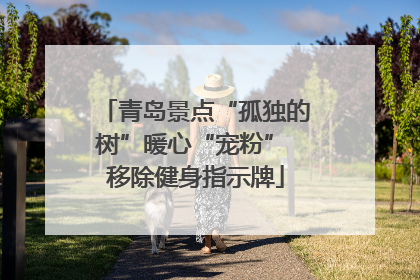 青岛景点“孤独的树”暖心“宠粉” 移除健身指示牌