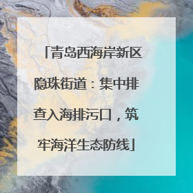 青岛西海岸新区隐珠街道：集中排查入海排污口，筑牢海洋生态防线