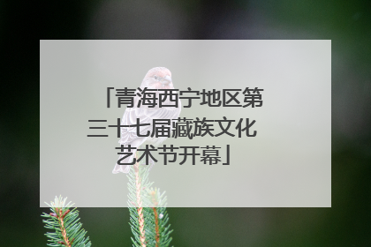 青海西宁地区第三十七届藏族文化艺术节开幕