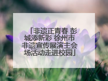 非遗正青春 彭城添新彩 徐州市非遗宣传展演主会场活动走进校园
