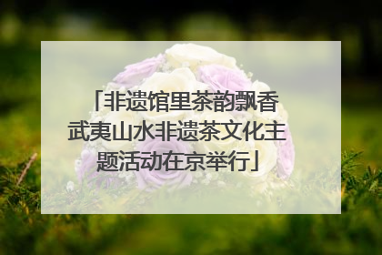 非遗馆里茶韵飘香 武夷山水非遗茶文化主题活动在京举行
