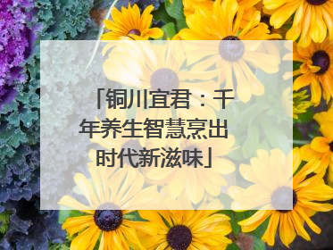 铜川宜君：千年养生智慧烹出时代新滋味