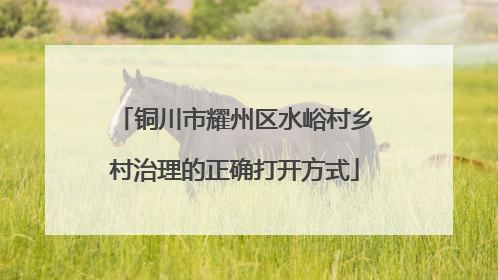 铜川市耀州区水峪村乡村治理的正确打开方式