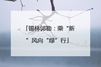 锡林郭勒：乘“新”风向“绿”行