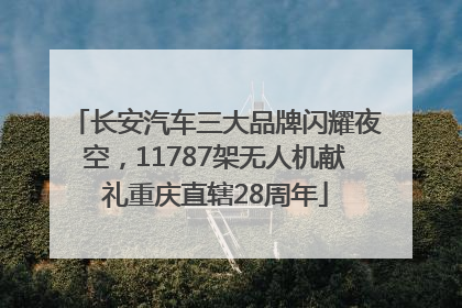 长安汽车三大品牌闪耀夜空，11787架无人机献礼重庆直辖28周年